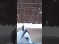 ЩЃШ Ш Ші Щ Щ ШЇЩЉ ЩЉШ ШЁЩ Ш ШЄ Ш Щ Ш ЩЉШ рџђЋрџђЋрџђЋрџђЋрџђґрџђґрџђґ ЩЃШ Ш Ші Щ Щ ШЇЩЉ ЩЉШ ШЁЩ Ш ШЄ Ш Щ Ш ЩЉШ рџђЋрџђЋрџђЋрџђЋрџђґрџђґрџђґ
