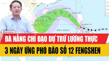 Đà Nẵng chỉ đạo dự trữ lương thực ít nhất 3 ngày ứng phó bão số 12 Fengshen