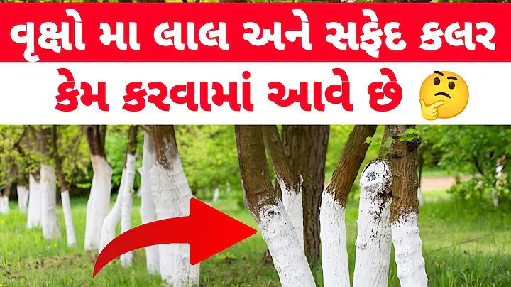 વૃક્ષો ને લાલ અને સફેદ રંગ કેમ લગાવામાં આવે છે? Why trees are painted red & white🤔