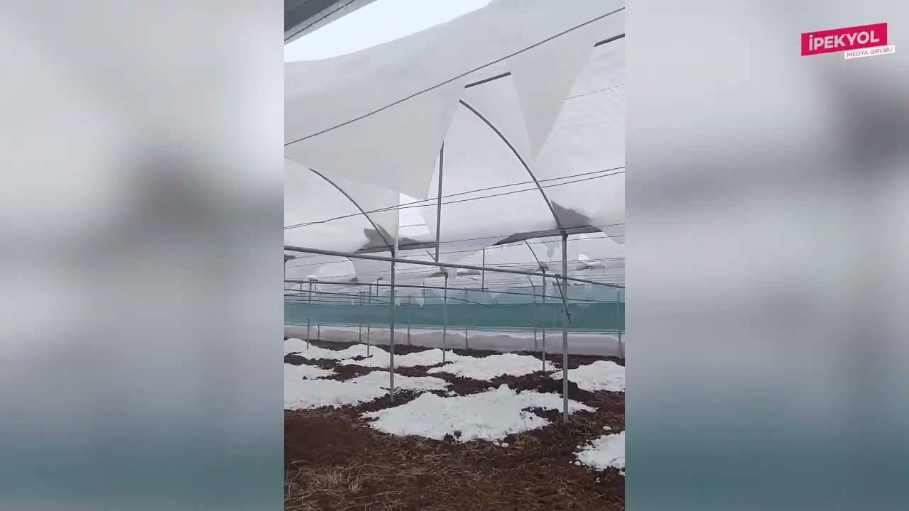 Şanlıurfa'daki kar birikintisi bu kez sera alanlarına vurdu!