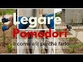 COLTIVARE POMODORI: COME E PERCHÃˆ LEGARLI | ORTO E GIARDINAGGIO