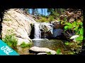 Spectacular Sequoia Swimming Holes of Brush Creek