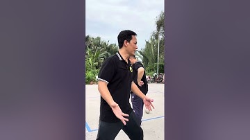 Phân Tích Cốt Lõi: Quy Luật Vận Động Đằng Sau Đòn Thế của Thái Cực Quyền Trần Gia và Dương Gia