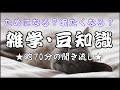 【雑学】【聞き流し】生活・防犯。少しゆっくりに読んでいきますね。【睡眠用】【知らないと損する】048