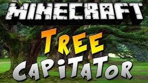 Minecraft Mod Spotlight: The TreeCapitator Mod