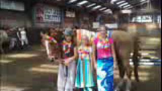 manege gasselte ponykamp 2009 week 2