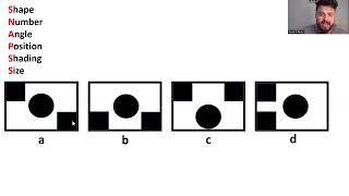 Celebrity 11+ Non Verbal Reasoning: Odd One Out and Grids/Pictures (WITH WORKSHEETS) Profile