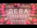 ДЕВА ♍️ 2024 год, диагностика, события. #дева#девы#дева2024#девапрогноз#знакизодиака#таро#12домов