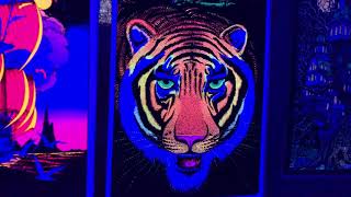 Vintage blacklight poster collection