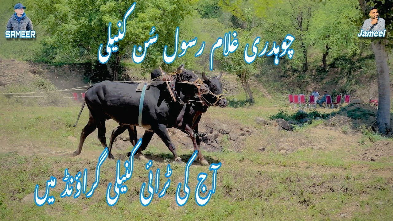 Ch Gh Rasool Ch ghulam rasool sun knaili | today try knaili ground | 14/05/2024 ...