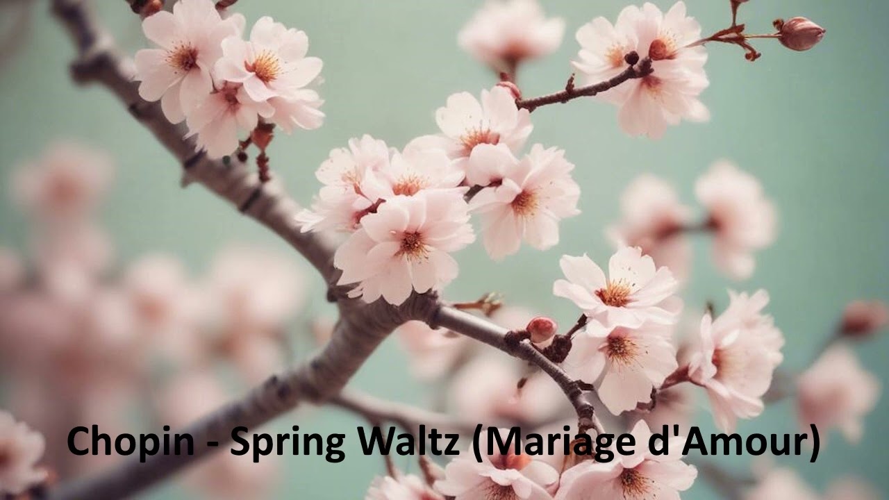 Chopin   Spring Waltz Mariage d'Amour