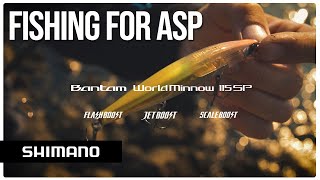 Fishing for asp with the BT World Minnow FLASH BOOST | SHIMANO BOOSTCONCEPT