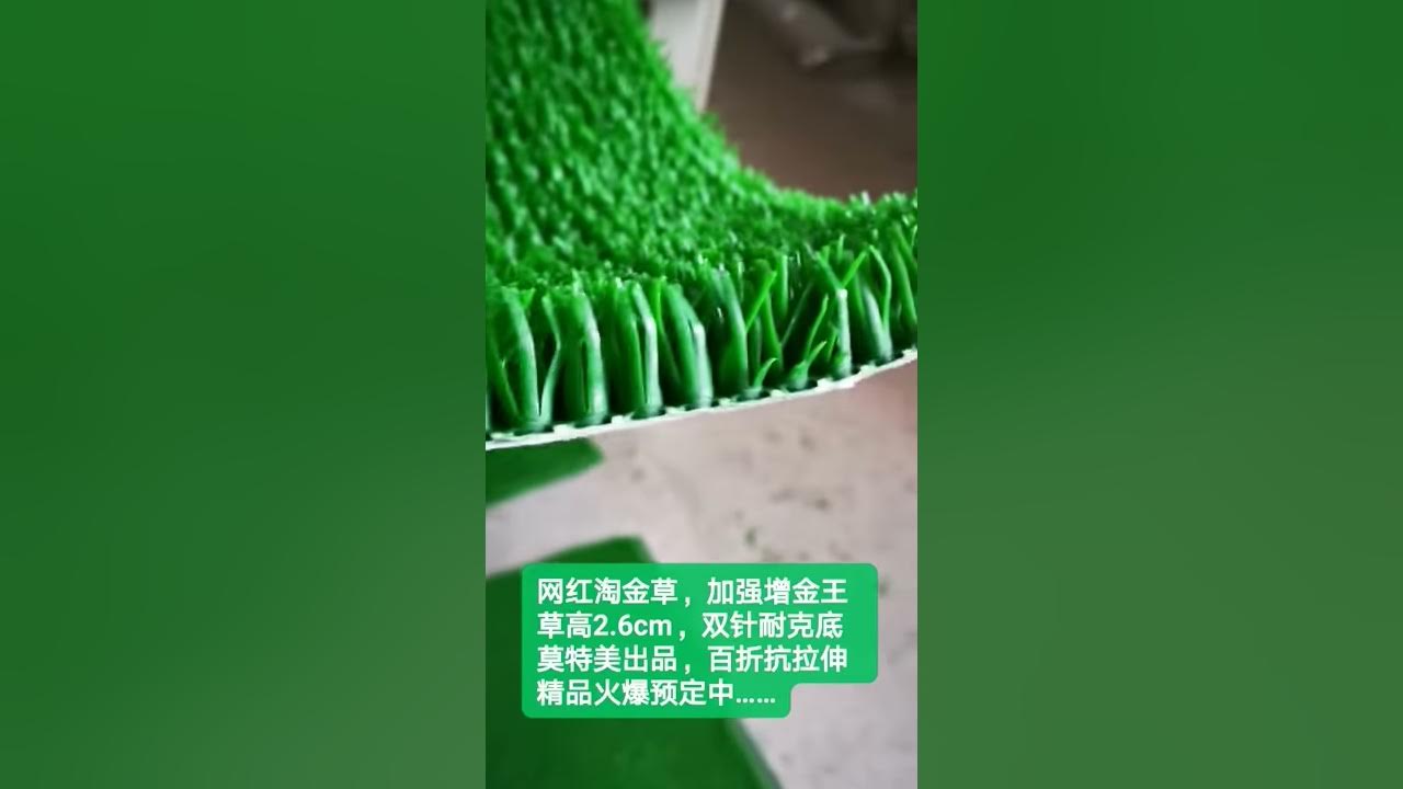 Grass miner moss carpet,gold mining carpet,gold rush carpet YouTube