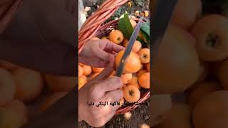 فاكهة الينكي دنيا #أد_أيادالعلاف