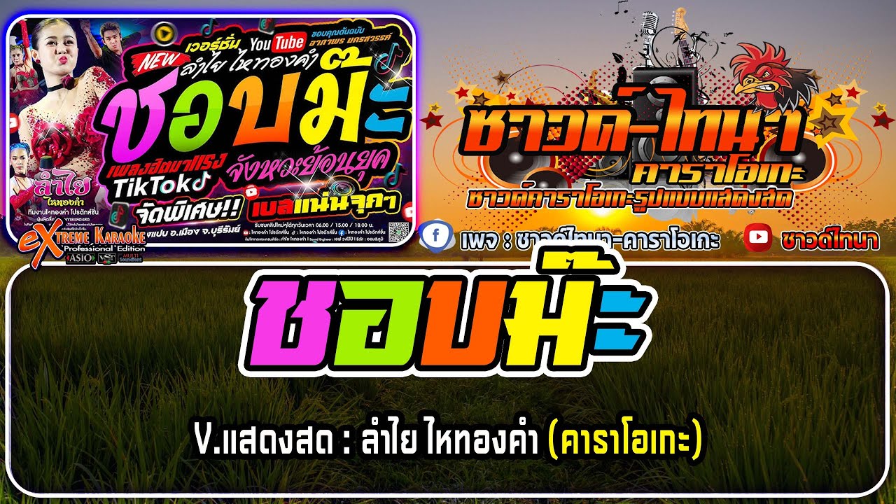 ชอบม๊ะ คาราโอเกะ - V.แสดงสด : ลำไย ไหทองคำ