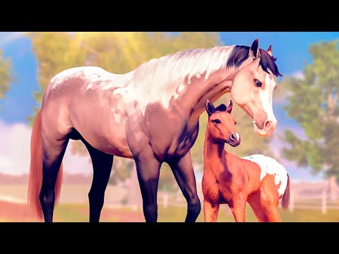 Видео: Смотрим разведение и новые дорожки 🌺 Rival Stars Horse Racing