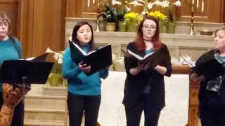 Celebrity Caritas Vocal Ensemble: Hallelujah by Leonard Cohen, arr. George Wu Profile