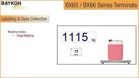An introduction to the BX65 and BX66 Weighing Terminals