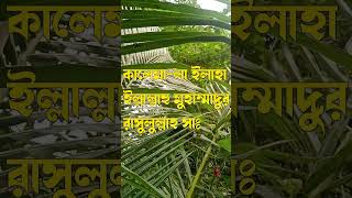 কালেমা-লা ইলাহা ইল্লাল্লাহু মুহাম্মাদুর রাসুলুল্লাহ #shorts