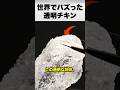 中まで透けるフライドチキン?