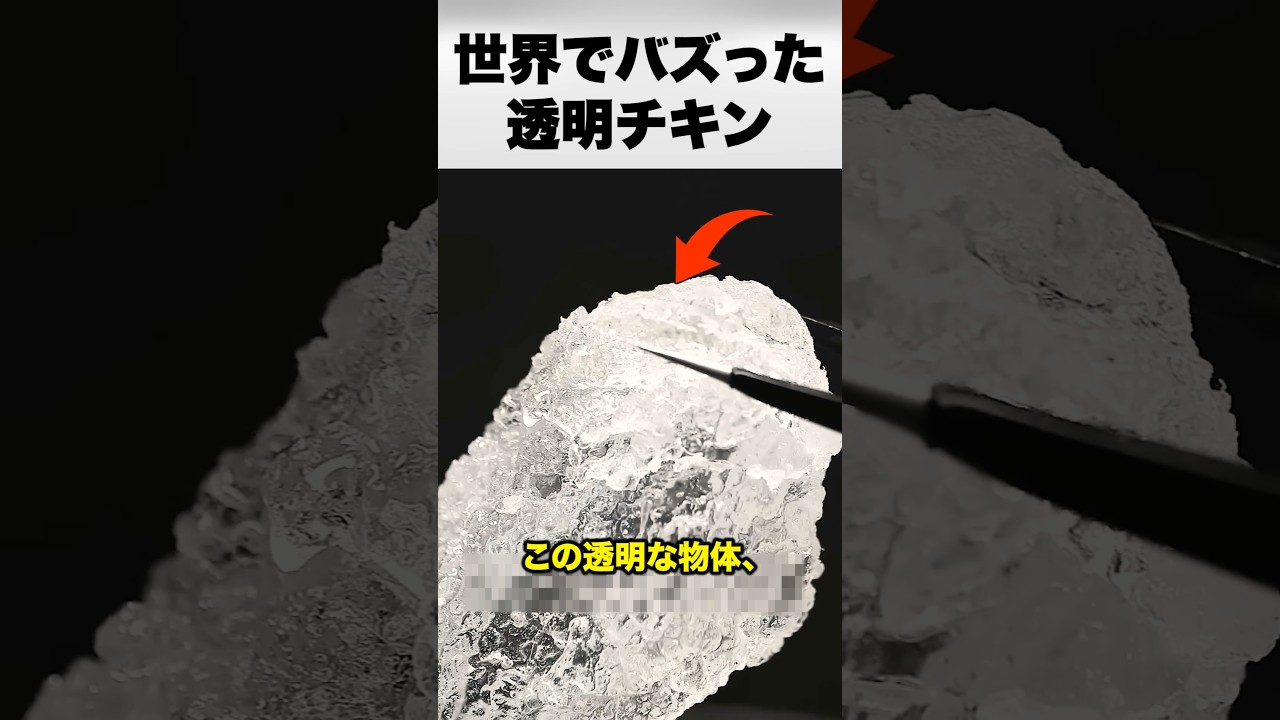中まで透けるフライドチキン?