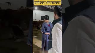 धीरेंद्र शास्त्री जी ने लिया थारपारकर गोमाता का आशीर्वाद👍 #tharparkercow #cow #bageshwardhamsarkar