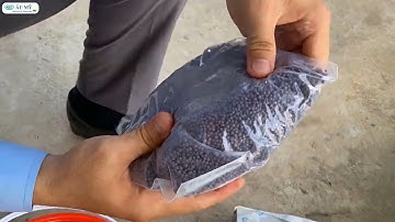 ZDRT - Diệt rong thấy mê | Sản phẩm diệt rong thế hệ mới thân thiện môi trường ao tôm | Au My AEC