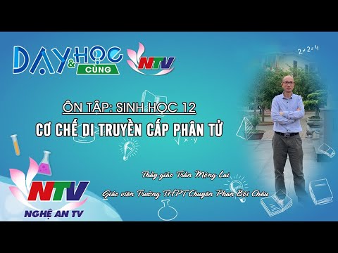 Video DẠY VÀ HỌC CÙNG NTV: SINH HỌC 12 - ÔN TẬP CƠ CHẾ DI... - YouTube