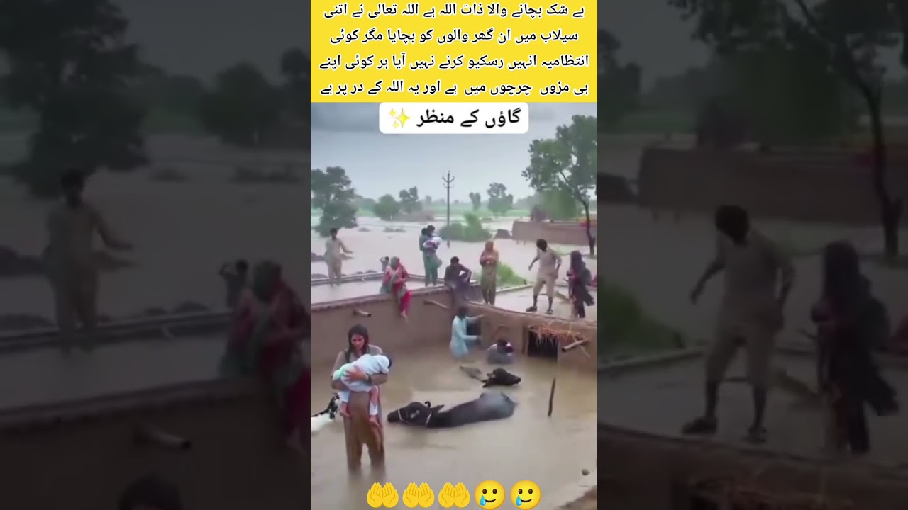 Swat Floods Situation🤲 