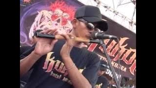 New Pallapa KUKOR (Kutuk Korea)(6)