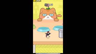 猫にみつかるな🐈　#shorts 