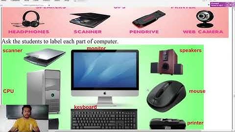 Bridge Course 8th English 31-Acitvity