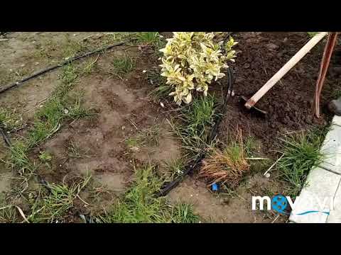 190.ფილმი კომედია комедия фильм