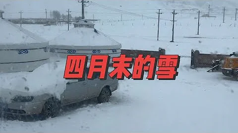 内蒙古四月末的大雪，一觉睡醒拉开窗帘外面一片大雪茫茫赶紧把大棉裤大棉袄都找出来、下雪停电再加上家里都没水了来看看内蒙牧区的一天我们是怎么过的…… - DayDayNews