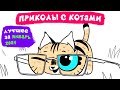 Приколы с котами. ЛУЧШЕЕ ЗА ЯНВАРЬ 2021 | Мемозг