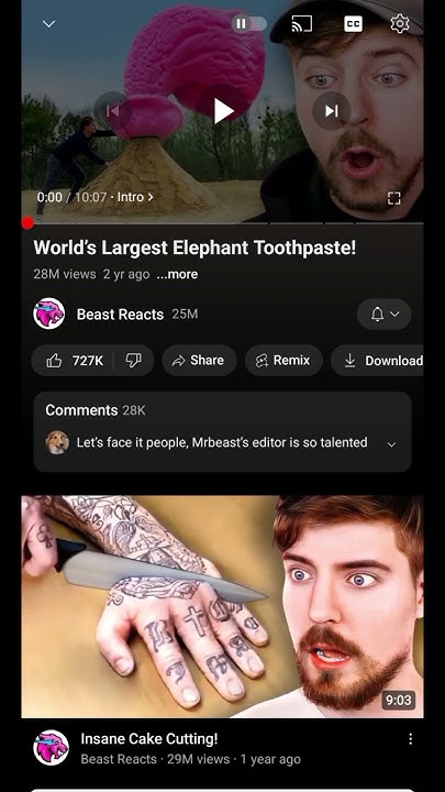 Day 104 How Many Days Does It Takes To Grab Mr Beast s Attention day-104-how-many-days-does-it-takes-to-grab-mr-beast-s-attention