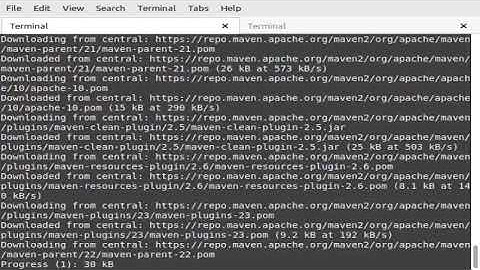 Testing {{ java maven surefire allure cucumber junit5 }} sieve segment cli