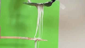 Flow Visualization Project