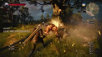 The Witcher 3 - Lilac And Gooseberries: Quick Sign Casting (DualSense) Kill Ghouls Tutorial PS5 4.0