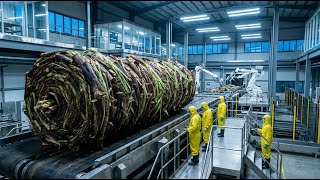 What Really Happens Inside a High-Tech Banana Stem Factory? (Full Process)