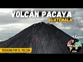 SUBIMOS UN VOLCÁN ACTIVO EN GUATEMALA | VOLCÁN PACAYA | 4K |