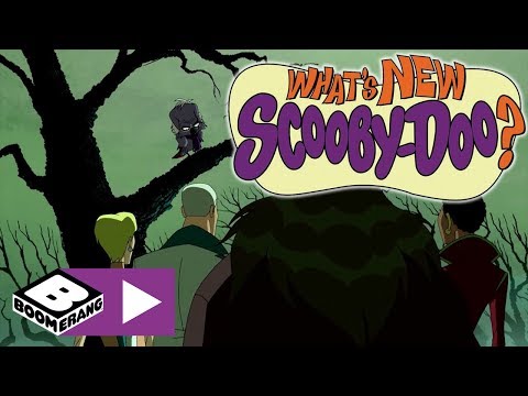 Scooby Doo Maceraları | Gizemli Peynir | Boomerang