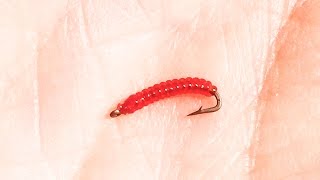 Midge Ribbed Annelid - Learn to tie this nymph type trout fly - Super easy!