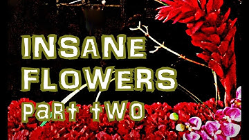 FLORAL DESIGN INSPIRATIONS: "SIMPLE CONTEMPORARY FLORAL CREATIONS PART 2"