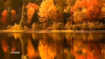 Enchanted Forest - Winstar Media 🎶🌹