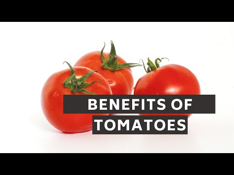 Benefits Of Tomatoes | Mishry Reviews