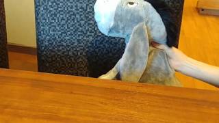 {Eeyore and Stitch} Episode Two screenshot 5