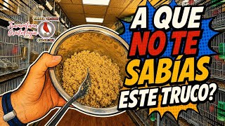 A que no te sabías este Truco!!