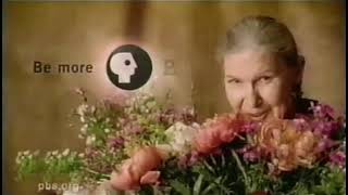 PBS | Bumper | 2006