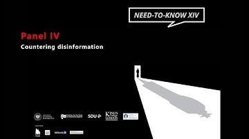 Panel IV: Countering disinformation.